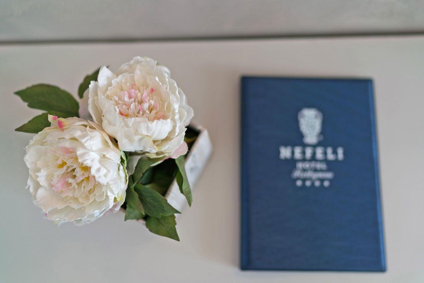Nefeli Hotel Platanes  Bagian luar foto